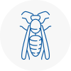 L9 Wasp Nest Removal